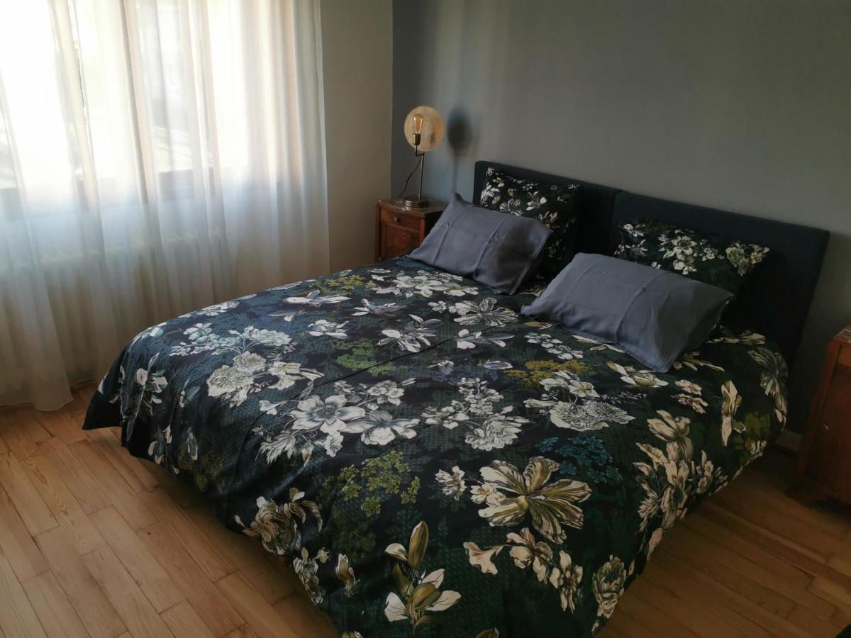 La Maison De Lucie - Grande Maison Ideale En Famille Ou Entre Amis - Jardin - Parking Gratuit Selestat Ngoại thất bức ảnh