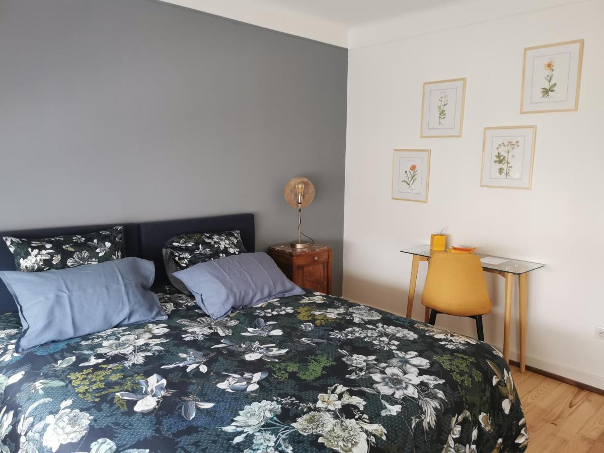 La Maison De Lucie - Grande Maison Ideale En Famille Ou Entre Amis - Jardin - Parking Gratuit Selestat Ngoại thất bức ảnh