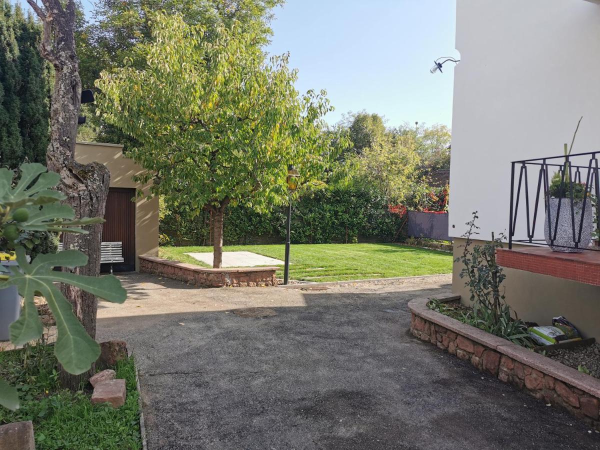 La Maison De Lucie - Grande Maison Ideale En Famille Ou Entre Amis - Jardin - Parking Gratuit Selestat Ngoại thất bức ảnh