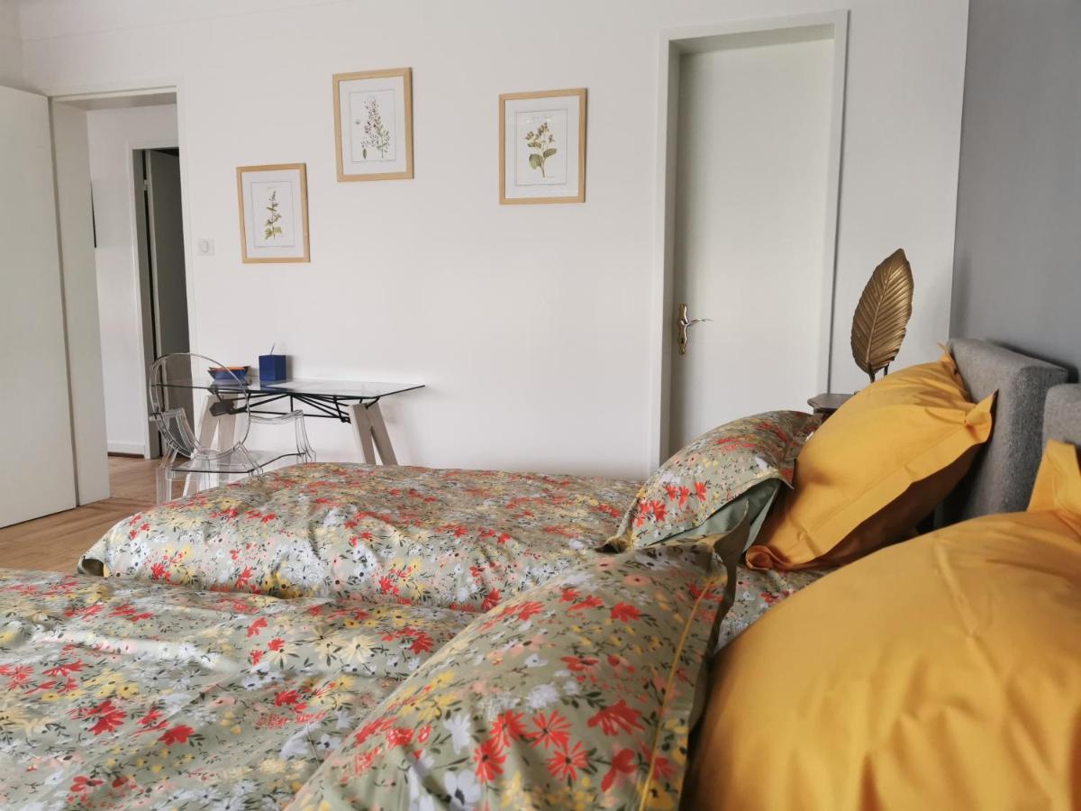 La Maison De Lucie - Grande Maison Ideale En Famille Ou Entre Amis - Jardin - Parking Gratuit Selestat Ngoại thất bức ảnh