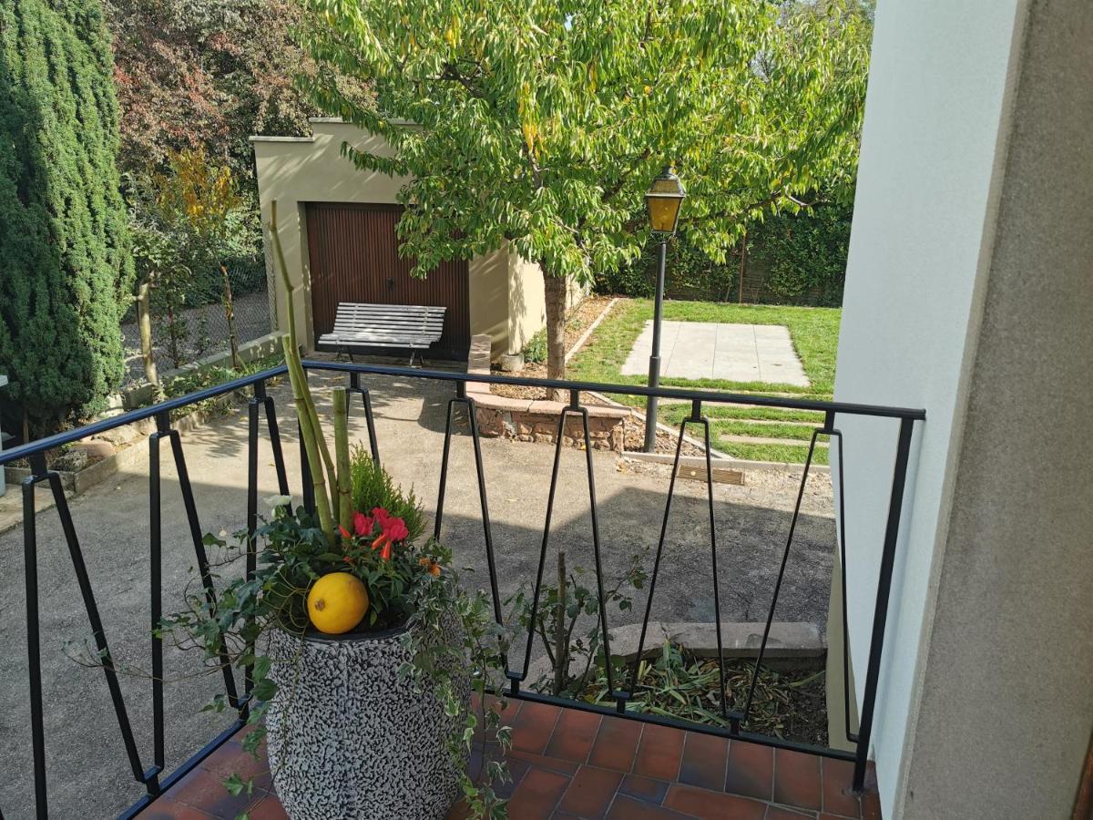 La Maison De Lucie - Grande Maison Ideale En Famille Ou Entre Amis - Jardin - Parking Gratuit Selestat Ngoại thất bức ảnh